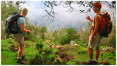 photo caption