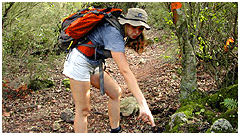 photo caption