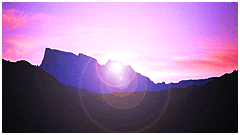 photo caption