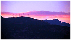photo caption