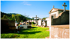photo caption