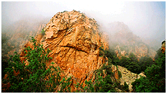photo caption