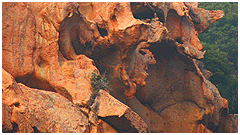 photo caption