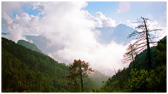 photo caption
