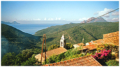 photo caption