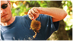 photo caption