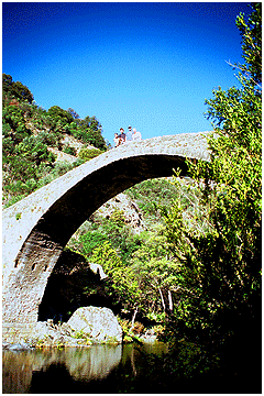 photo caption