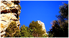 photo caption
